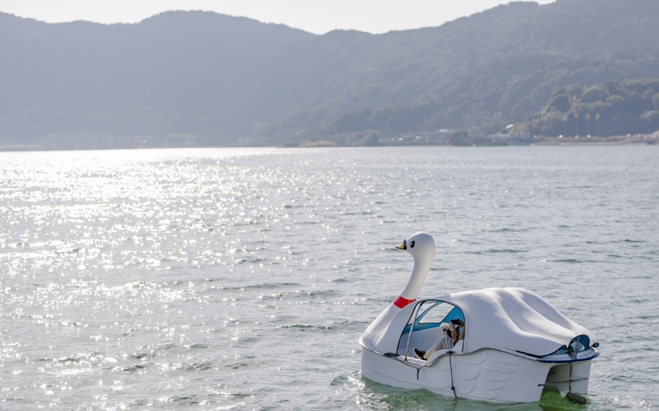 マリンアクティビティ