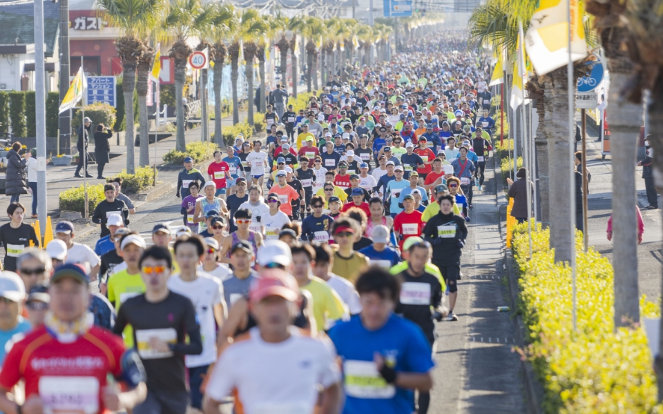 いぶすき菜の花マラソン