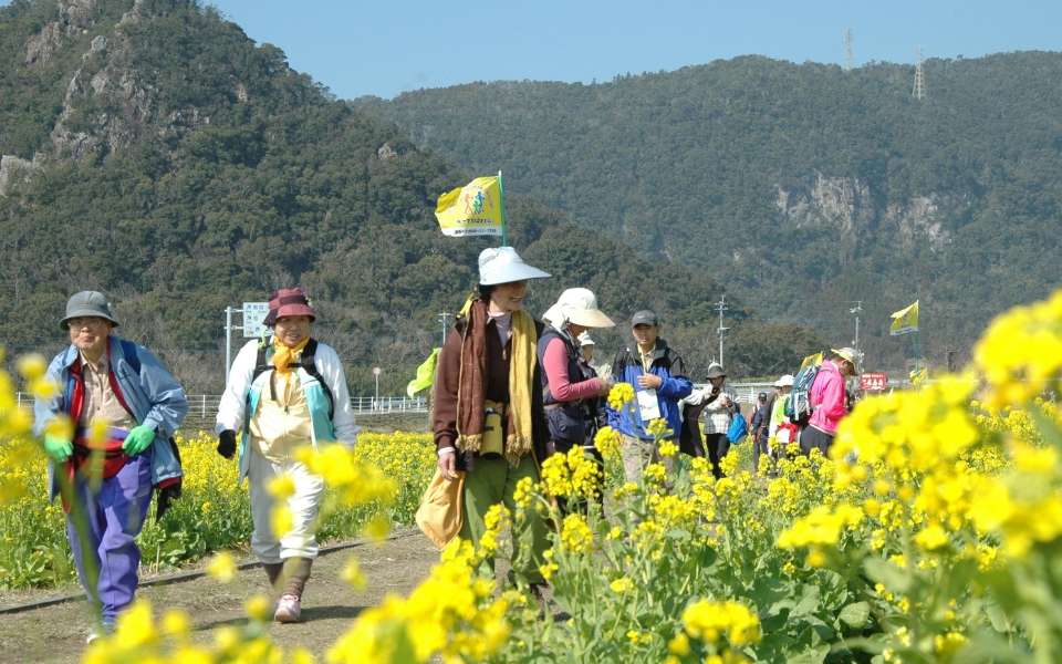 いぶすき菜の花マーチ