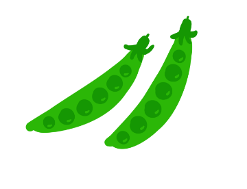 スナップえんどうの生産量 全国1位