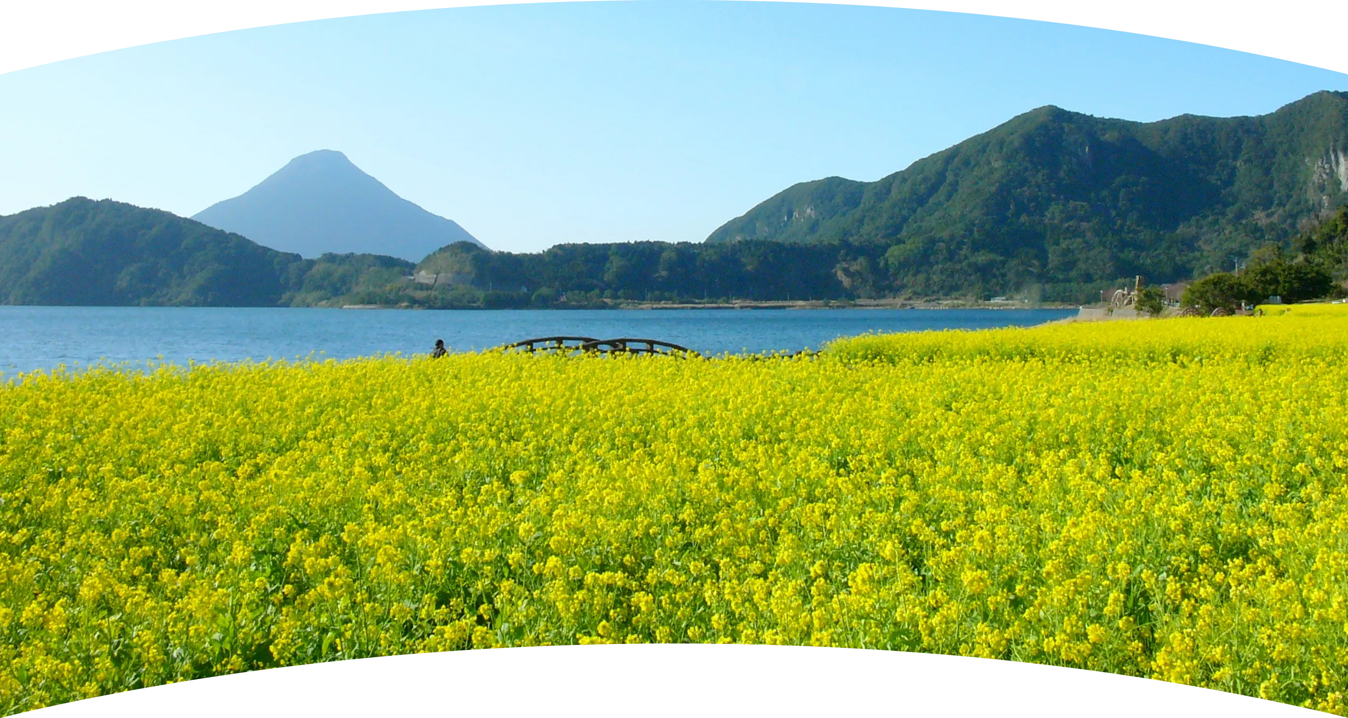 ALOHAなまち、いぶすき