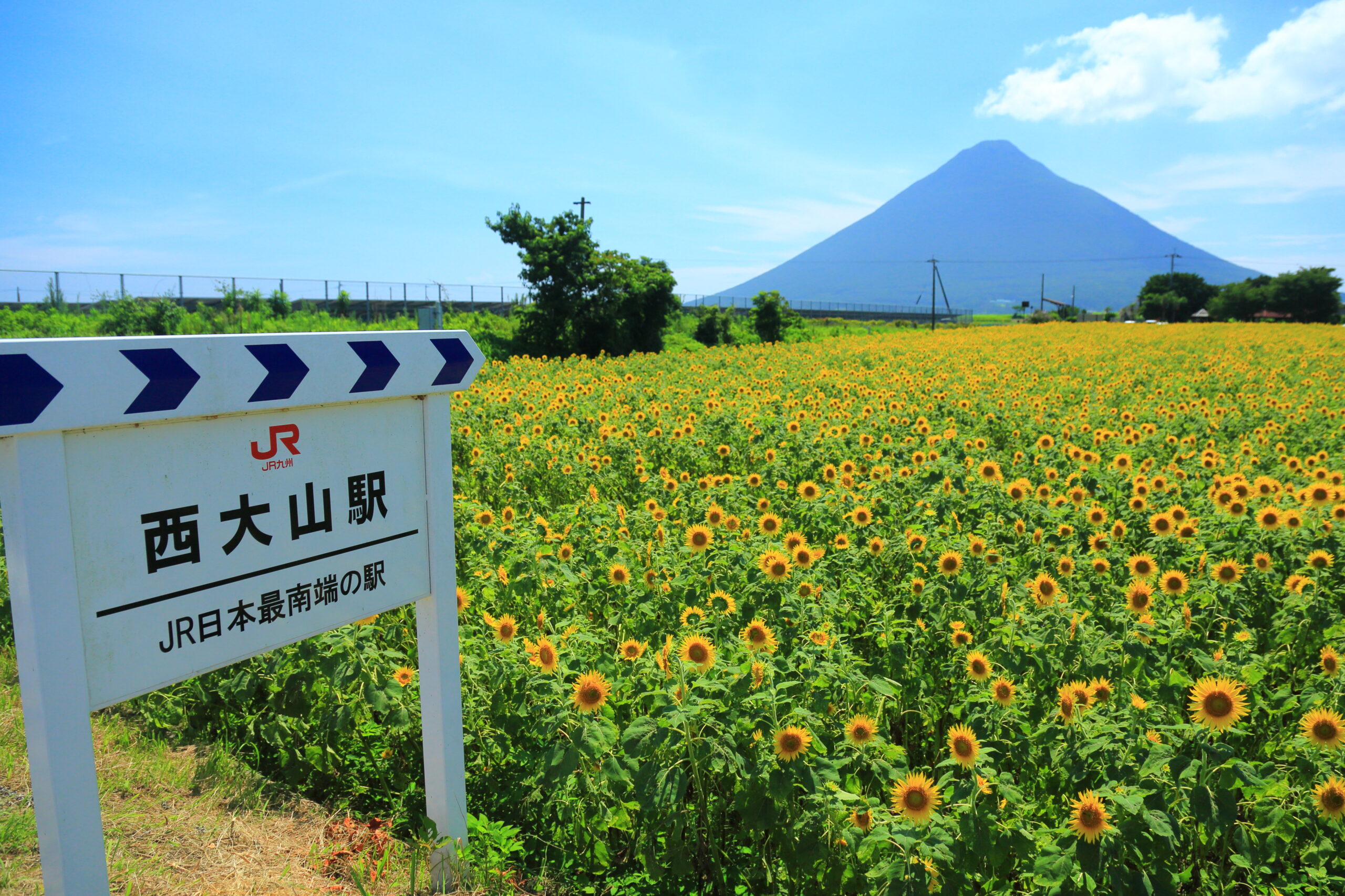 かいもん市場久太郎（西大山駅）