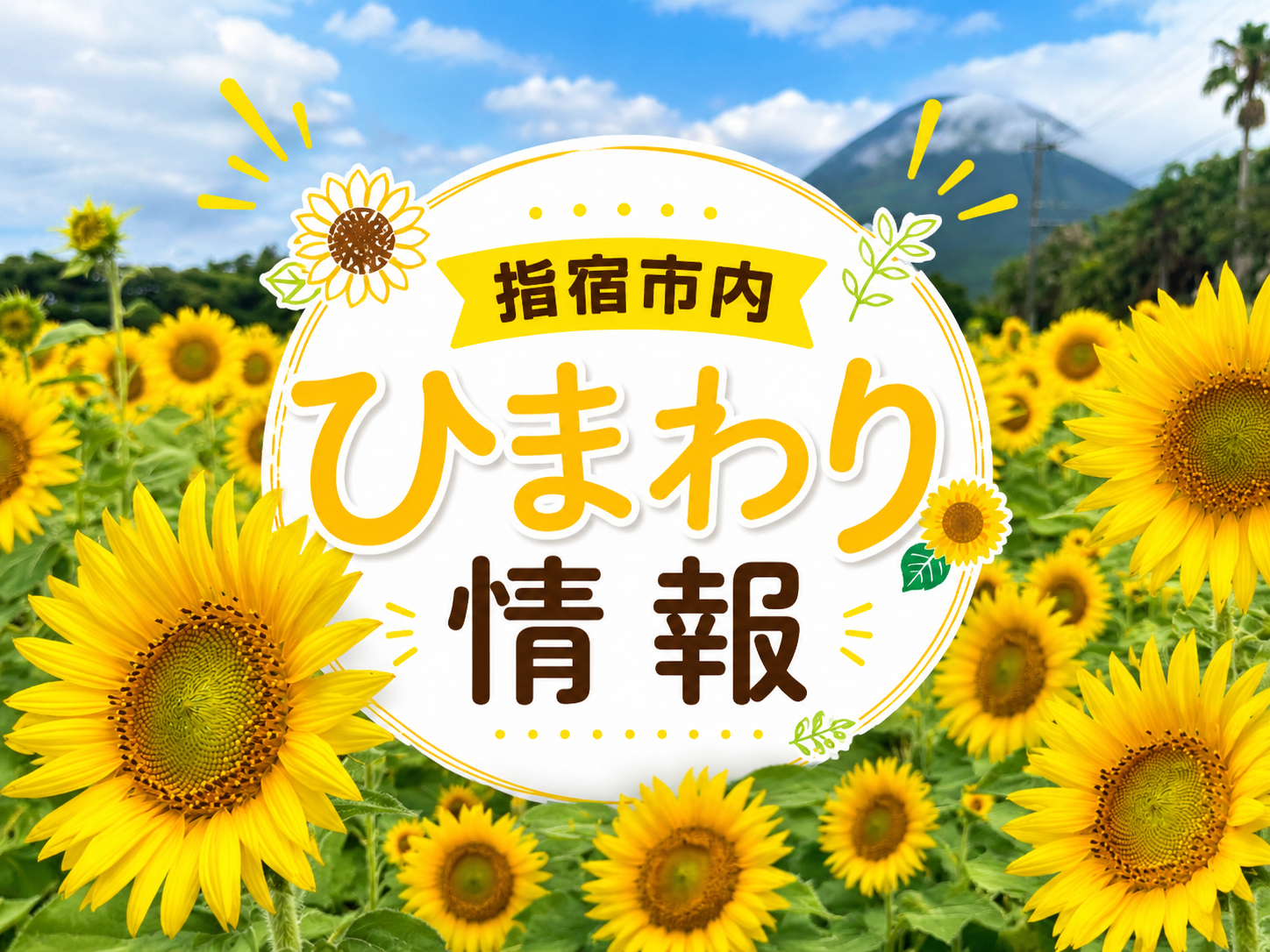 【2026】ひまわり情報｜夏の絶景スポット